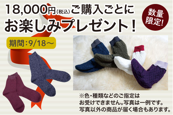 プレゼントキャンペーン